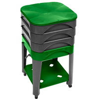 City Worms City Worms